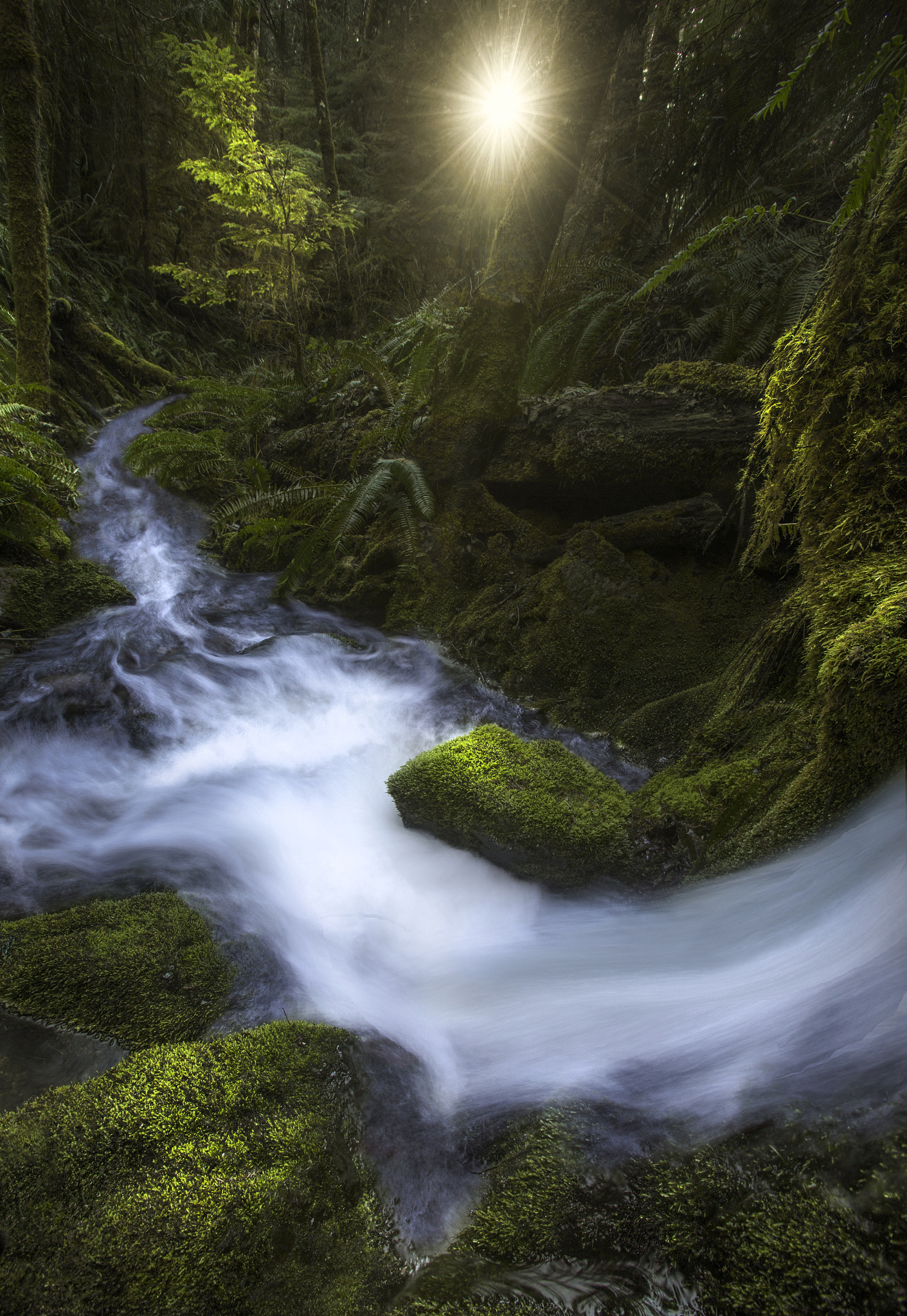 Canon EF 16-35mm F2.8L USM sample photo. Lead me to the light. photography