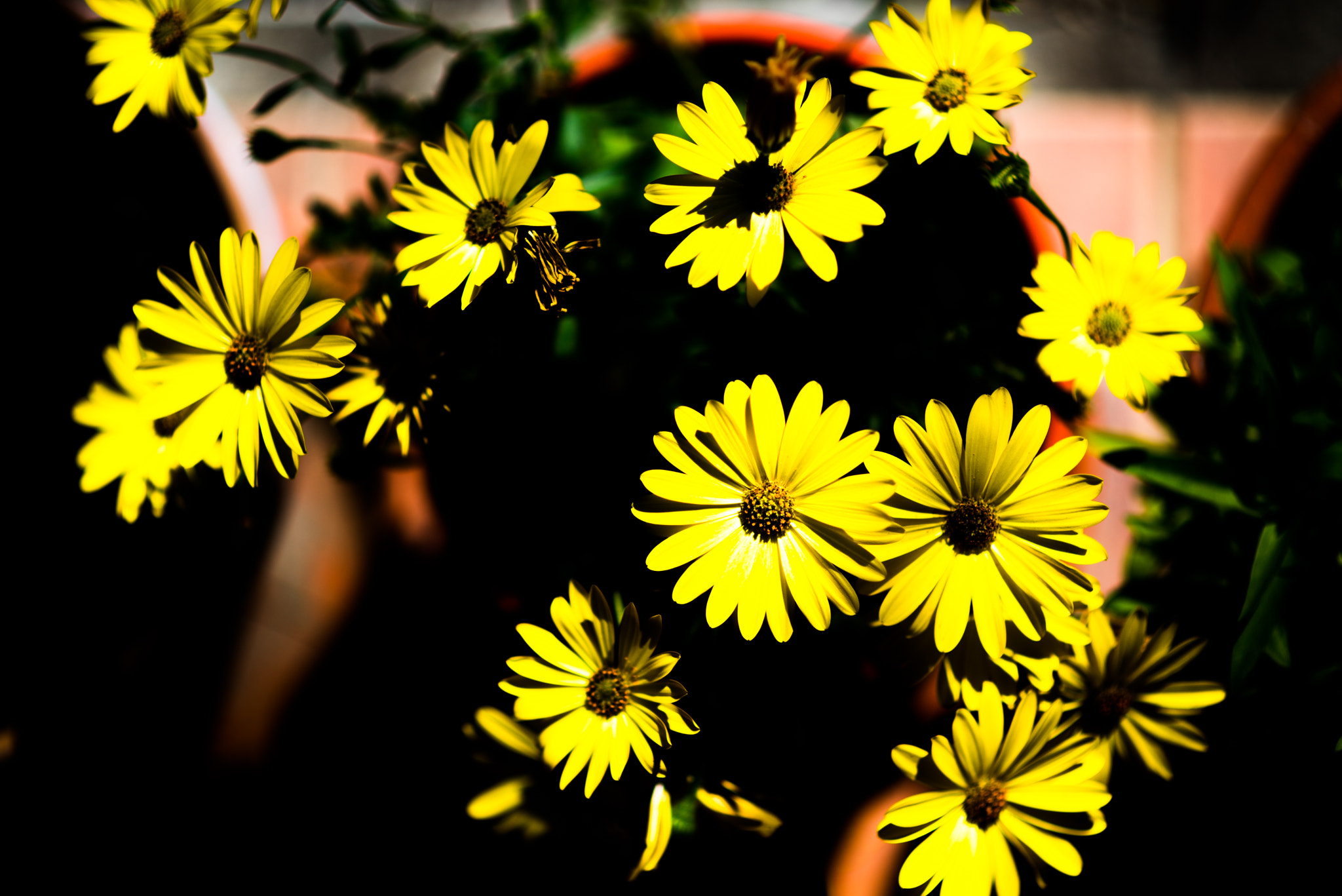 Nikon AF-S Nikkor 85mm F1.8G sample photo. Iluminadas photography