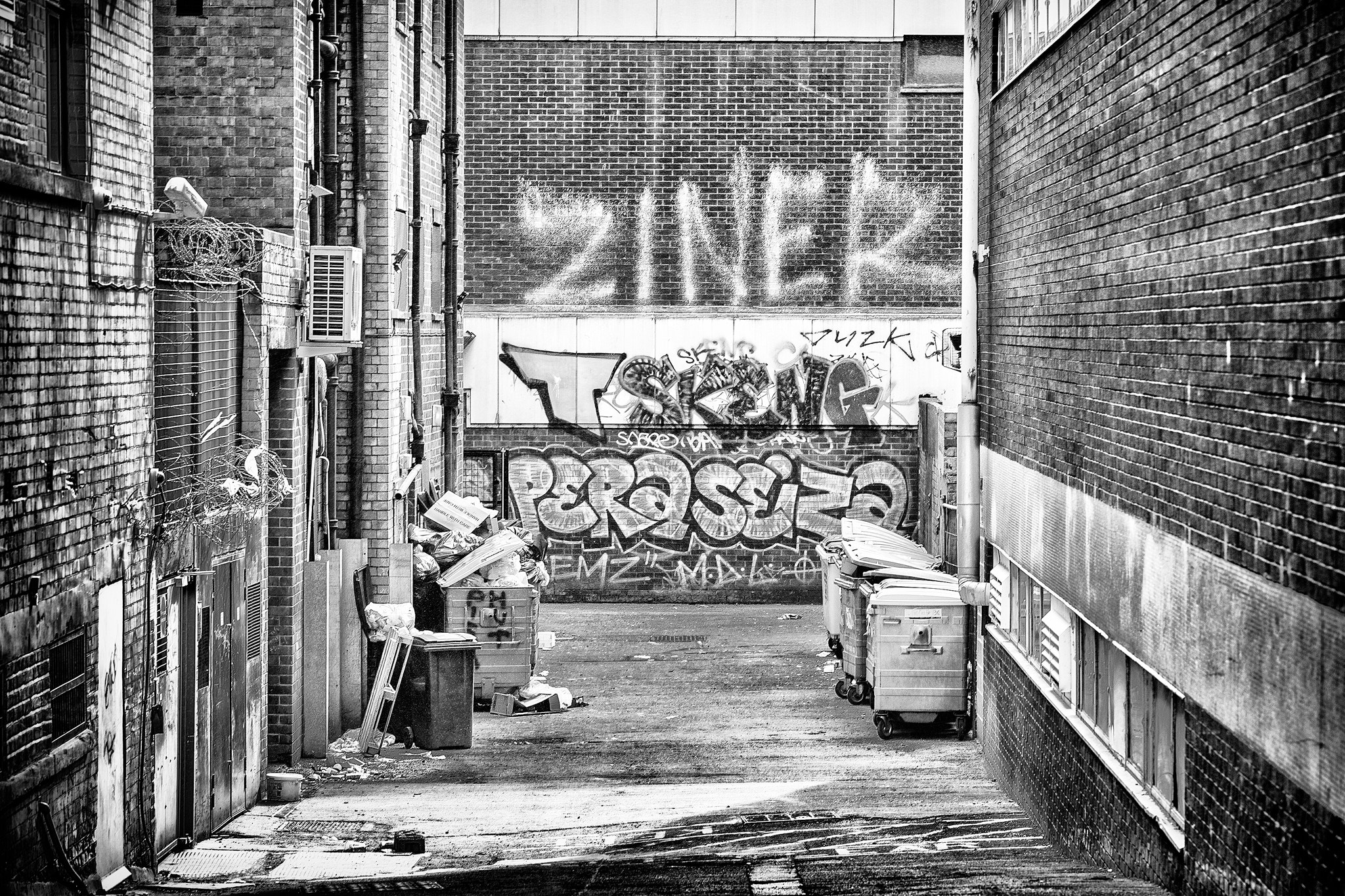 Canon EOS-1D X Mark II sample photo. Ziner photography