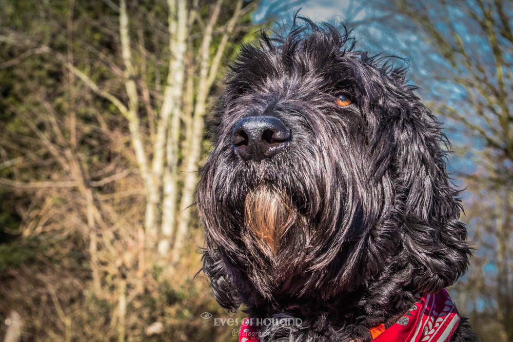 Canon EF 24-105mm F4L IS USM sample photo. Attitude photography
