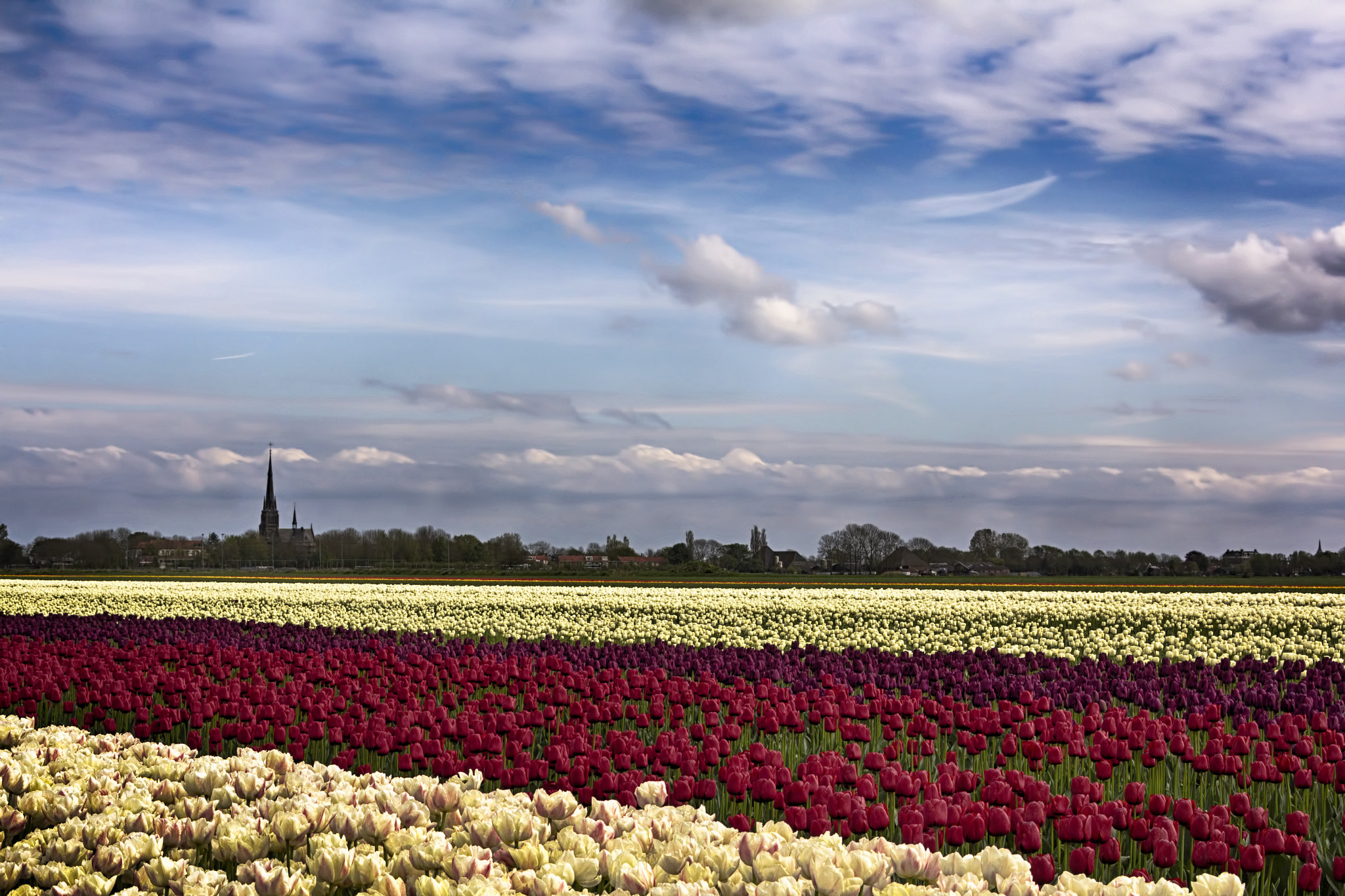 Sigma 18-250mm F3.5-6.3 DC OS HSM sample photo. A variety of flowers and clouds photography