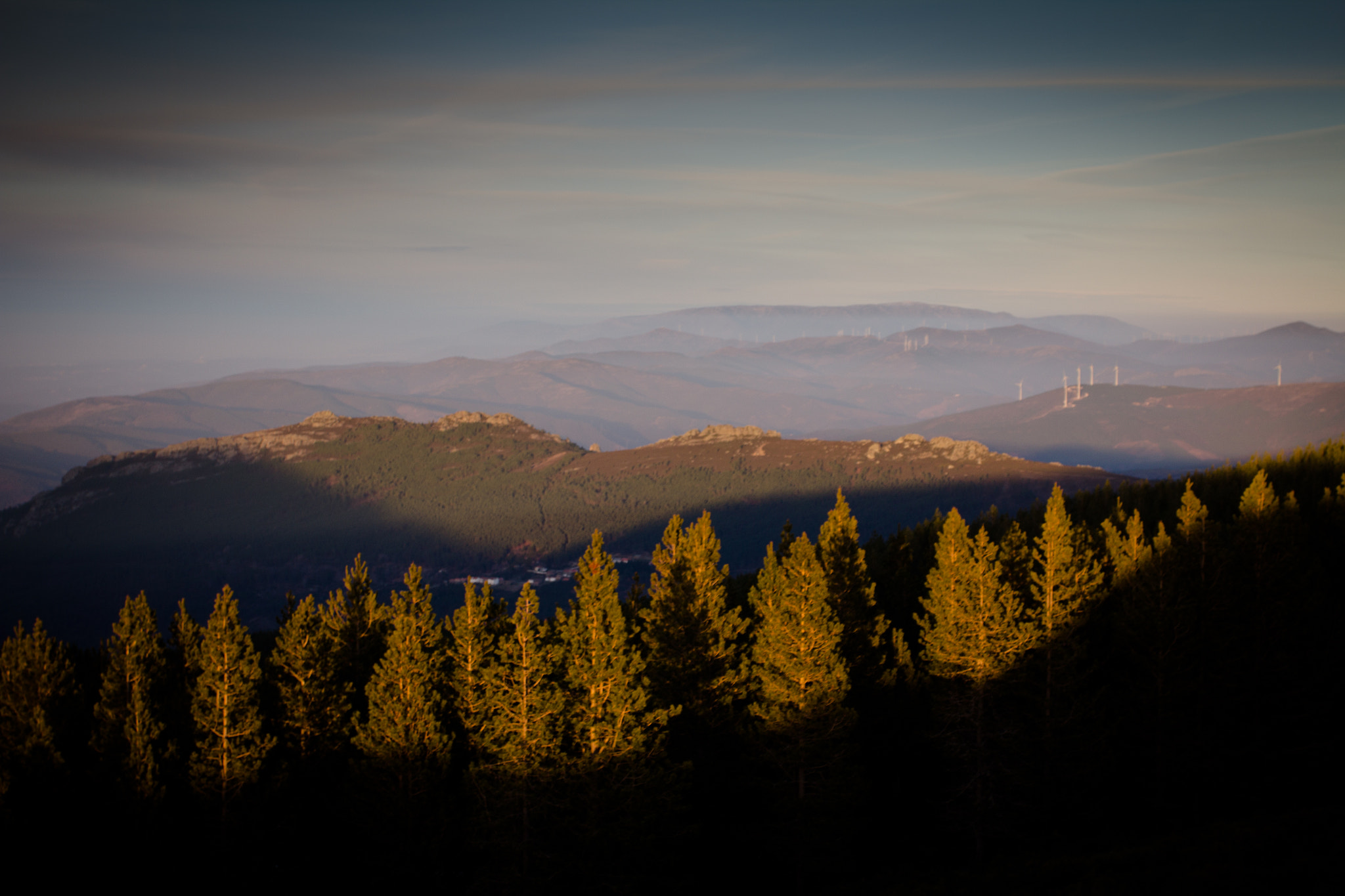 Canon EOS 60D + Canon EF 17-40mm F4L USM sample photo. Olhar a este photography