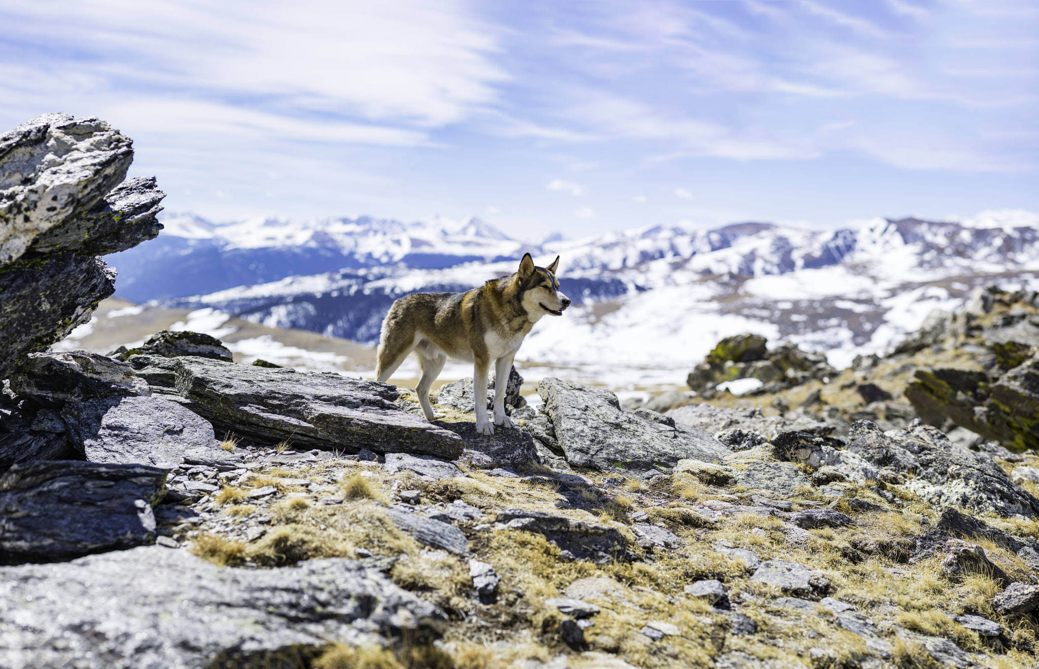 Nikon AF-S Micro-Nikkor 105mm F2.8G IF-ED VR sample photo. Hiking through a tundra above saint mary's glacier photography