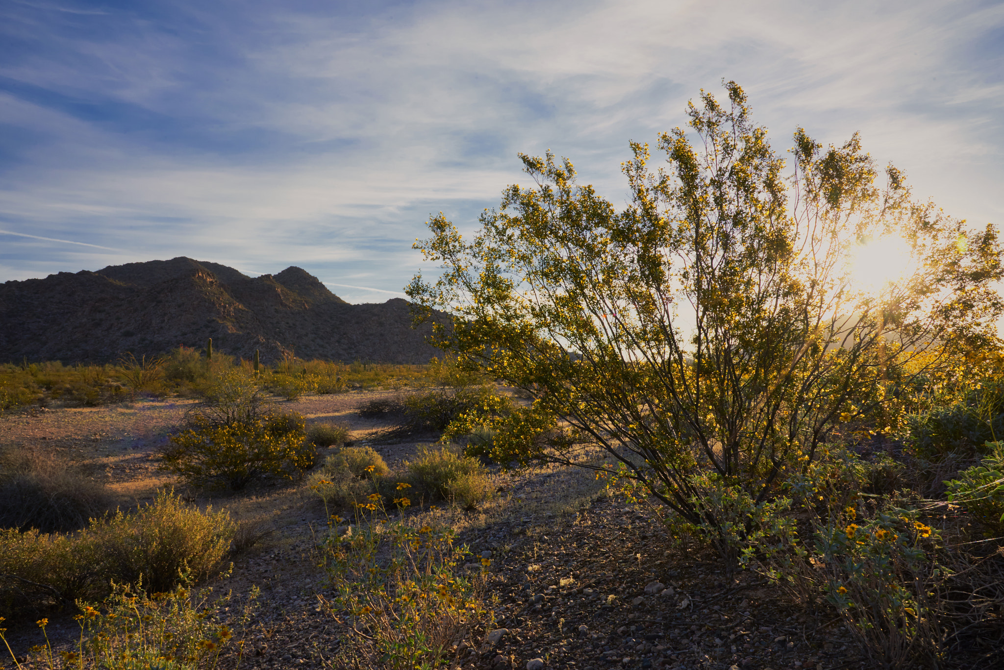 Nikon AF-S Nikkor 24-120mm F4G ED VR sample photo. Az-387 photography