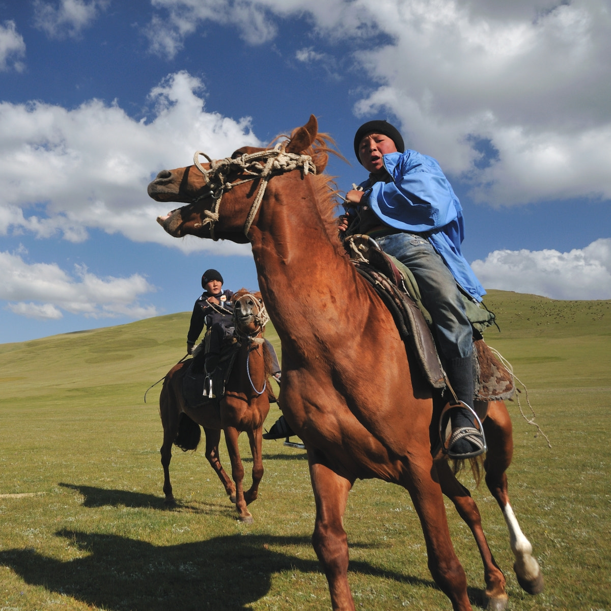 Nikon D300 sample photo. Buzkashi photography