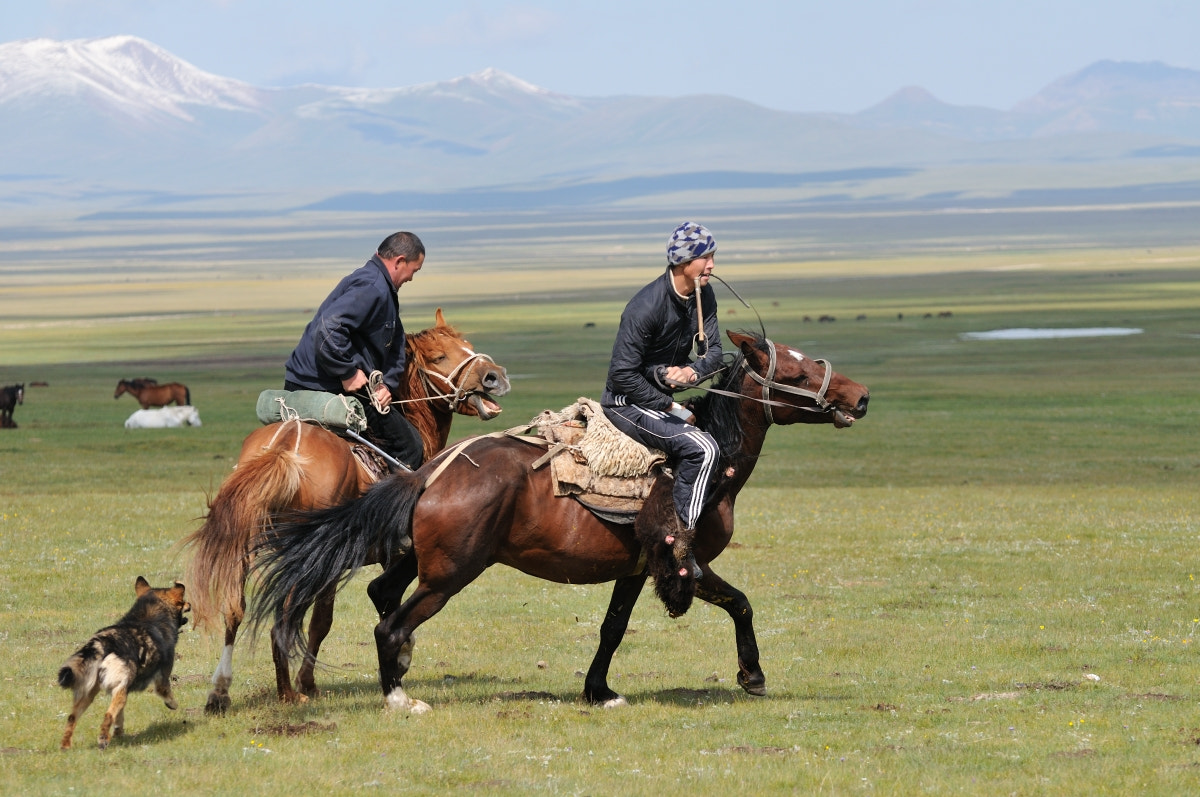 Nikon D300 sample photo. Buzkashi photography