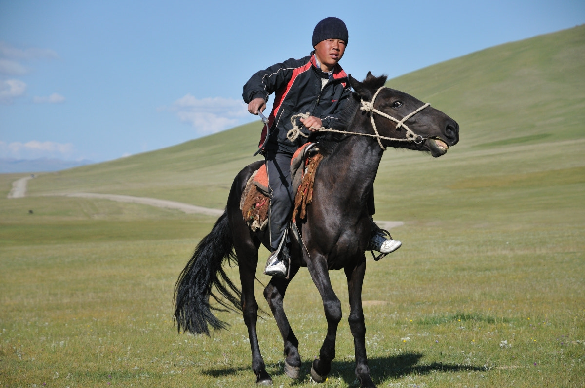 Nikon D300 sample photo. Buzkashi photography