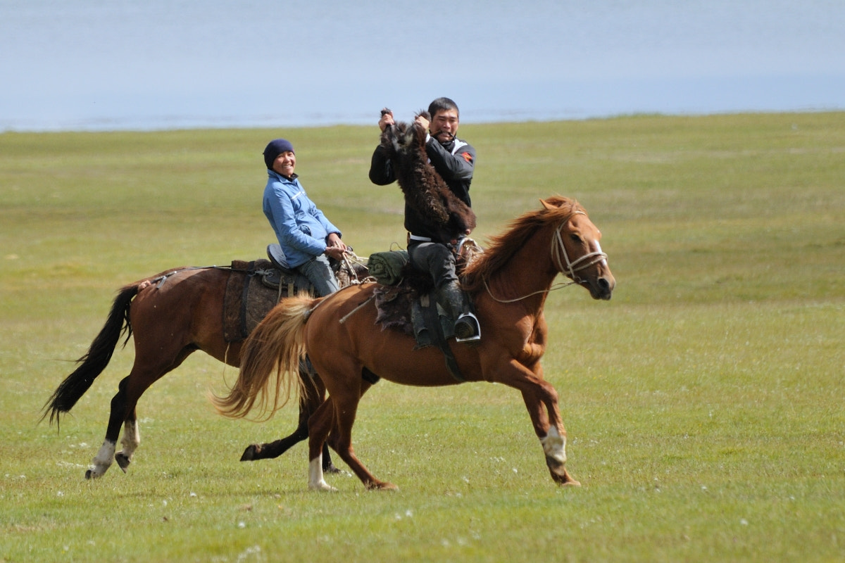 Nikon D300 sample photo. Buzkashi photography