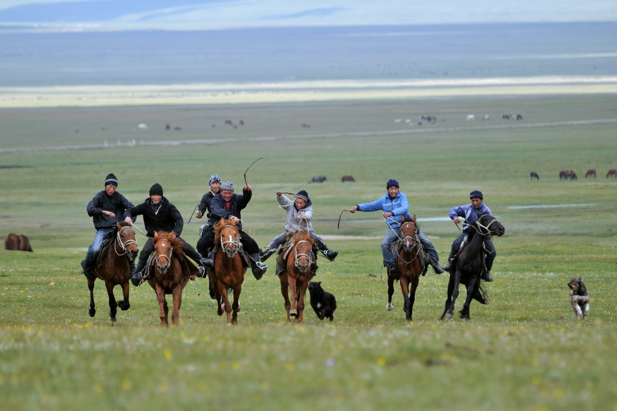 Nikon D300 sample photo. Buzkashi photography
