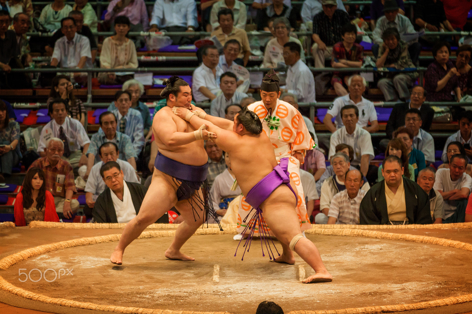 Canon EOS 50D sample photo. Sumo 2 photography