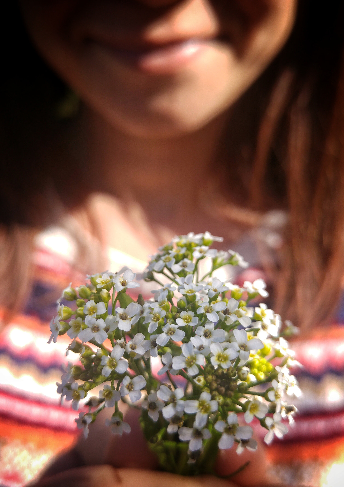 LG H815TR sample photo. Little flowers photography