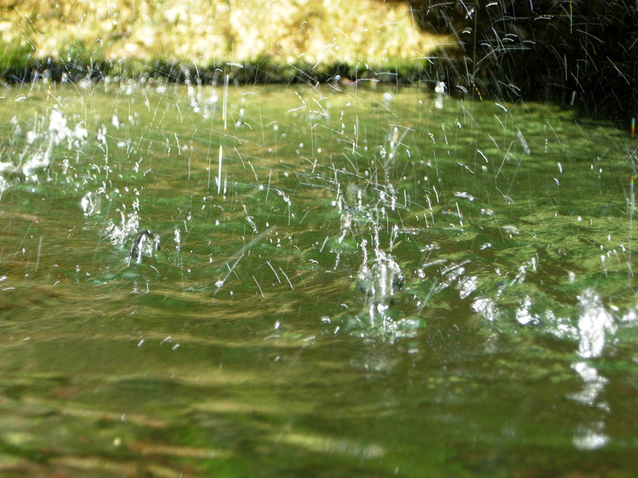 Nikon COOLPIX P4 sample photo. Water #1 photography