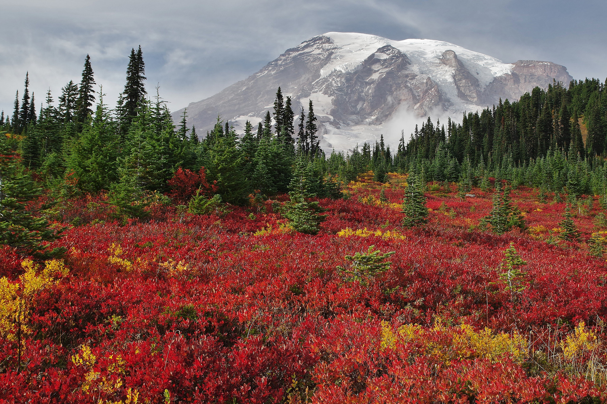 Pentax K-3 + Tamron SP AF 17-50mm F2.8 XR Di II LD Aspherical (IF) sample photo. Autumn in mt. rainier national park photography