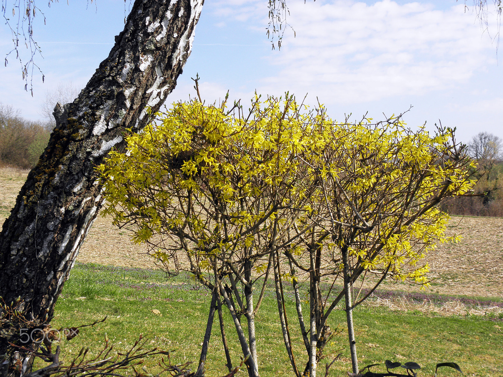 Olympus SP590UZ sample photo. Springtime in the countryside,croatia,19 photography