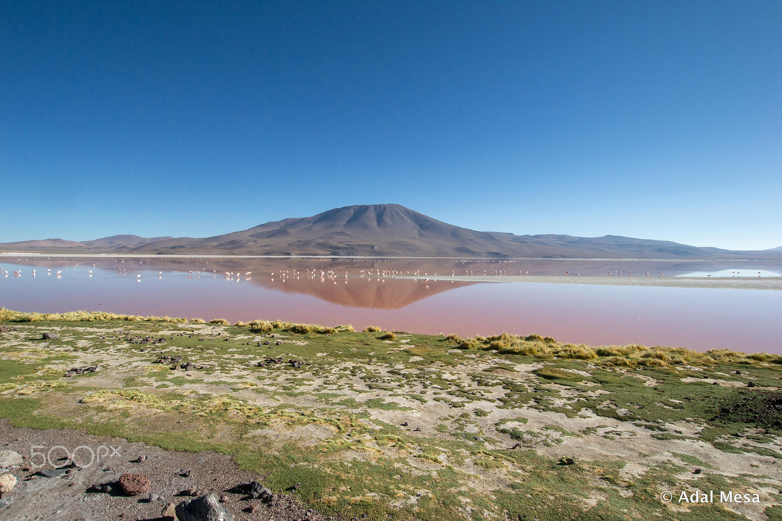 Nikon D3100 + Sigma 10-20mm F3.5 EX DC HSM sample photo. Laguna colorada photography