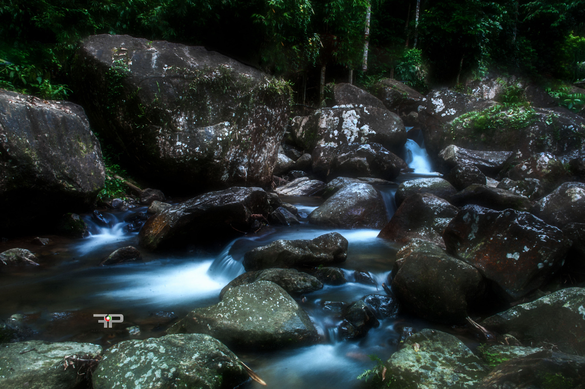 Nikon D3 sample photo
