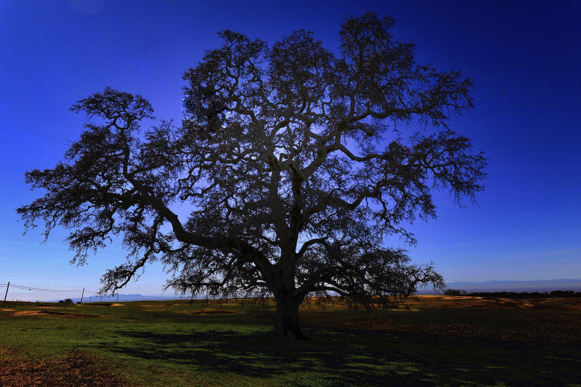 Canon EF 11-24mm F4L USM sample photo. Img photography