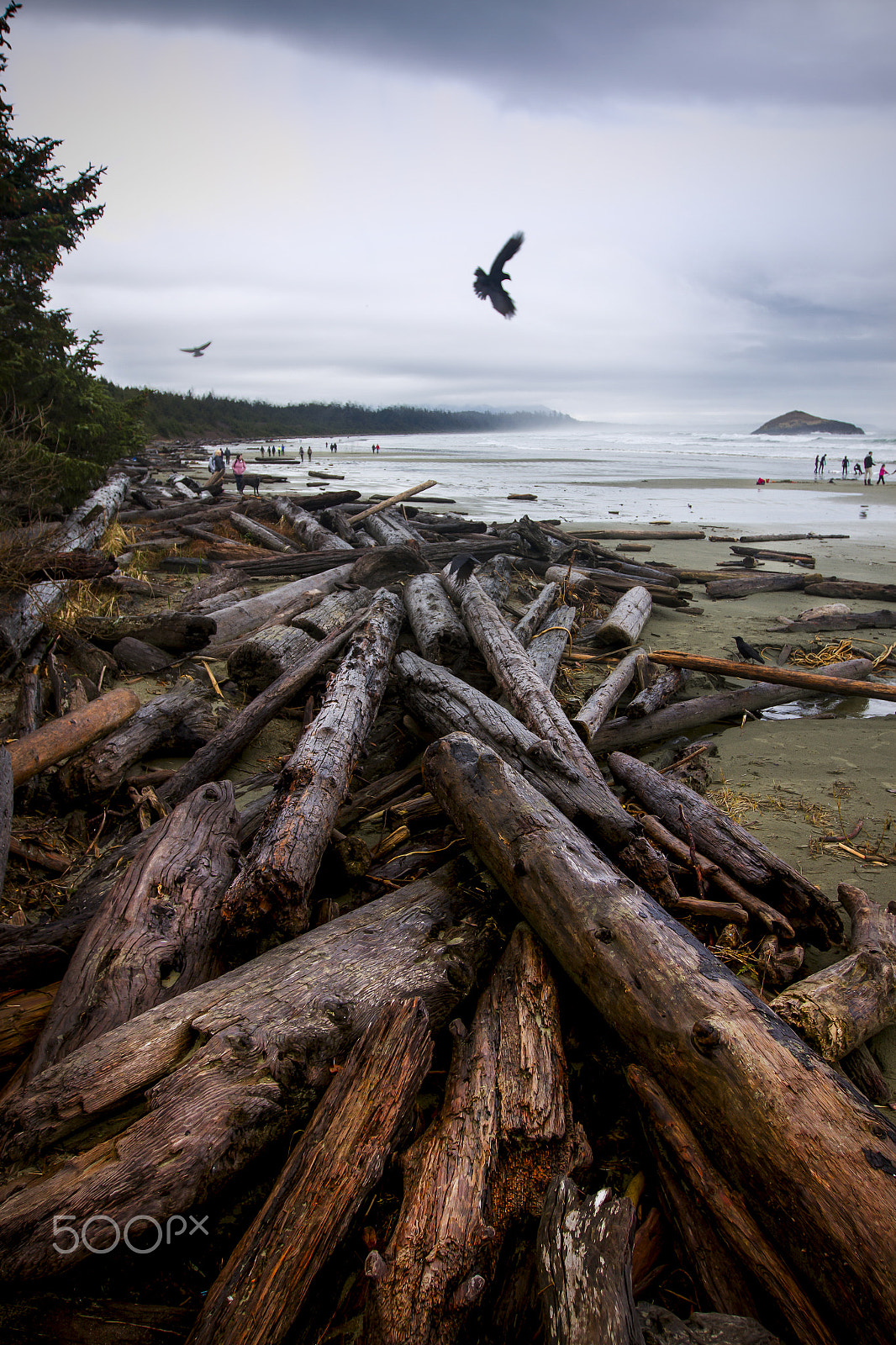Canon EF 16-35mm F2.8L II USM sample photo. Islands photography
