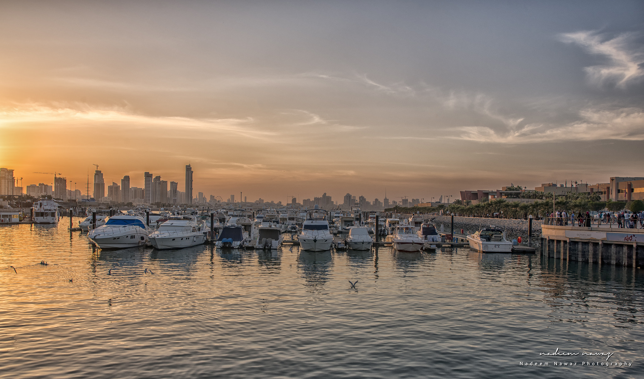 Nikon D810 sample photo. Marina crescent marina, salmiya kuwait photography
