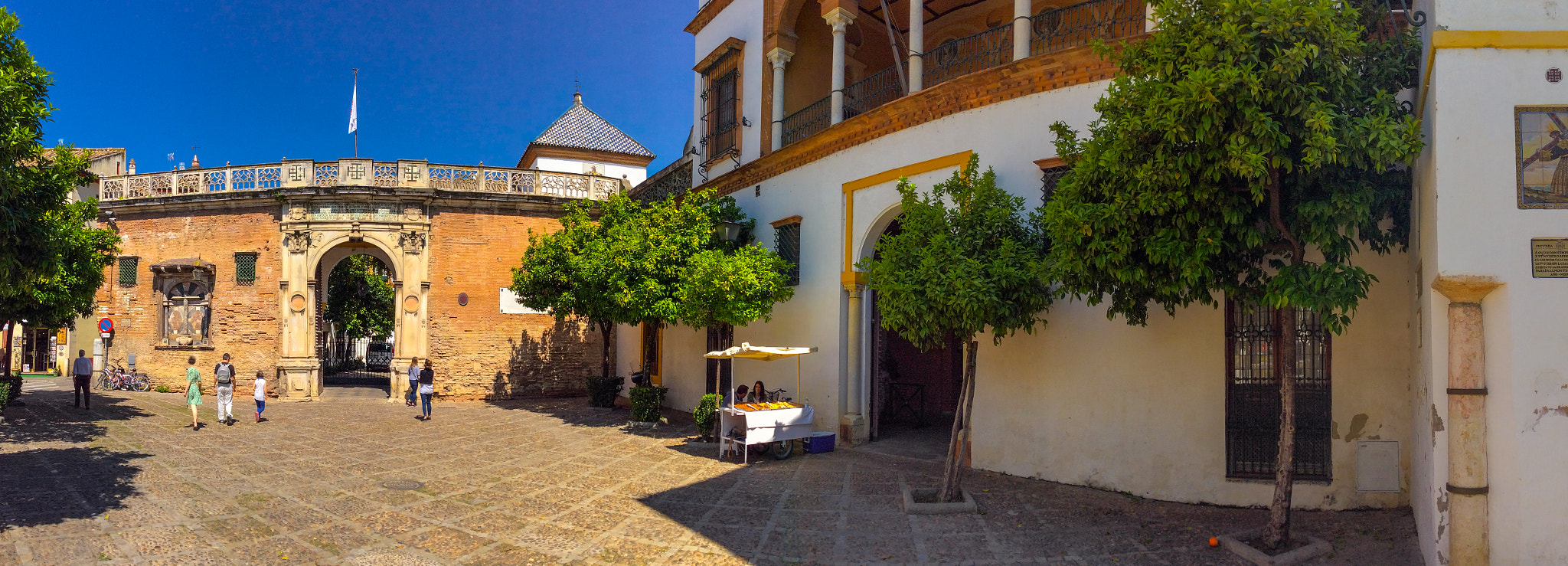 iPad mini 2 back camera 3.3mm f/2.4 sample photo. The front gate of casa de pilatos, seville, spain. photography