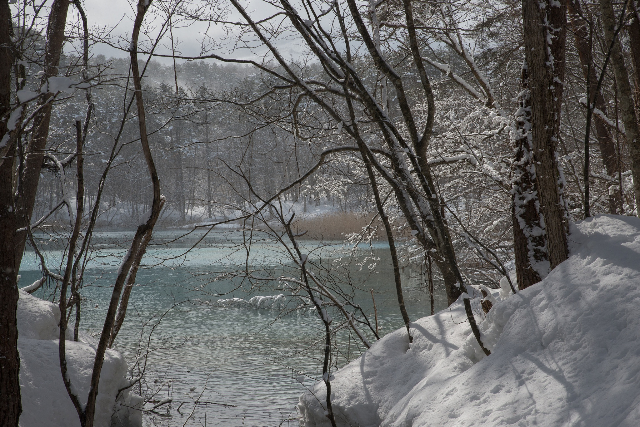 Tamron SP 24-70mm F2.8 Di VC USD sample photo. Time of thaw photography