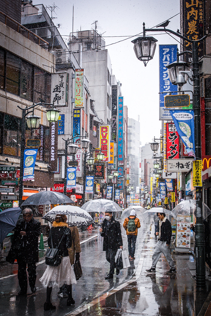 Canon EOS 70D + Canon EF 17-40mm F4L USM sample photo. Snow in tokyo photography