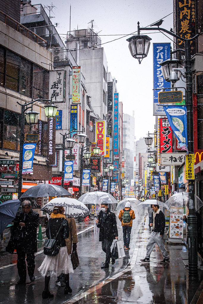 Canon EOS 70D sample photo. Snow in tokyo photography