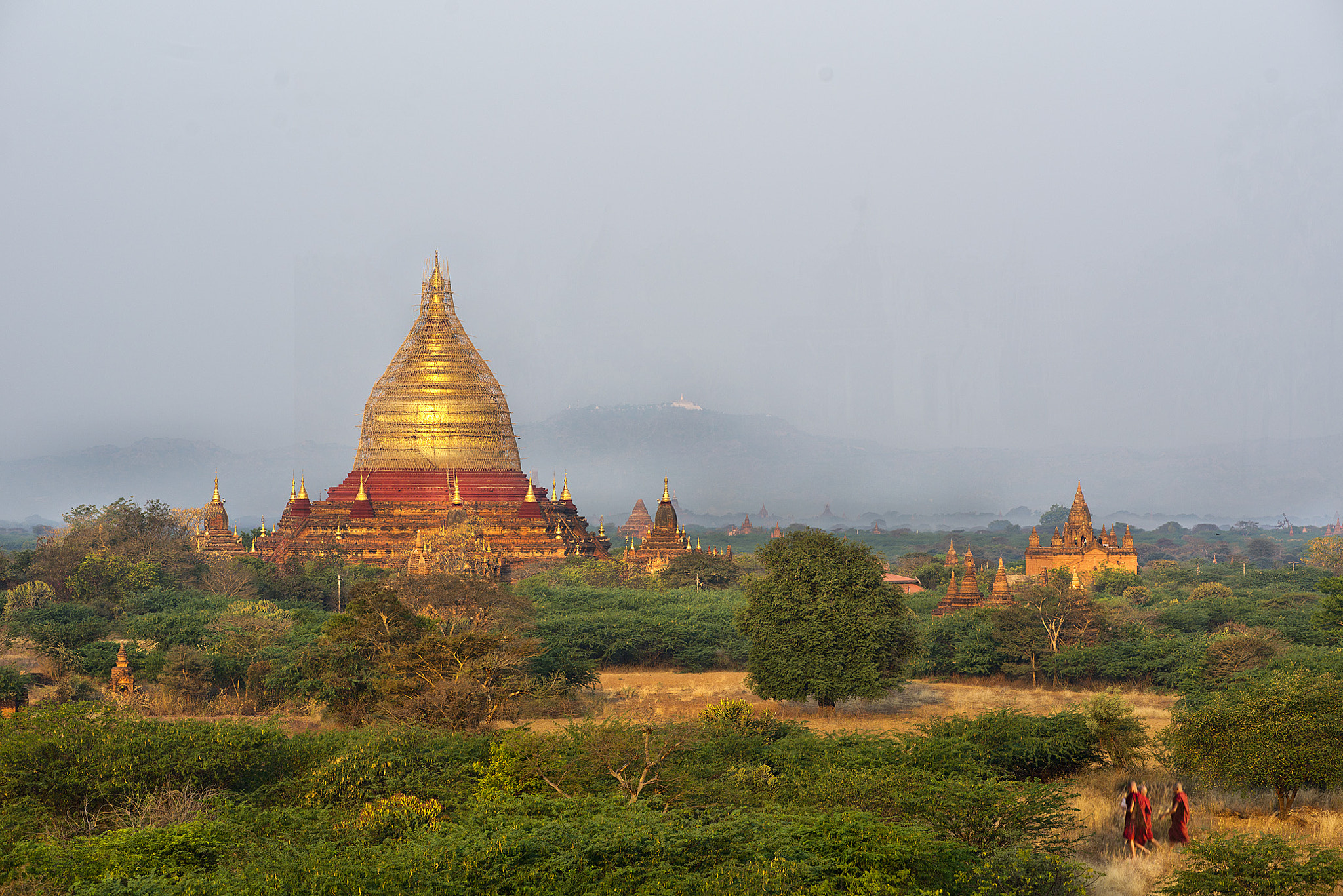 Nikon D800 sample photo. Monks walking photography