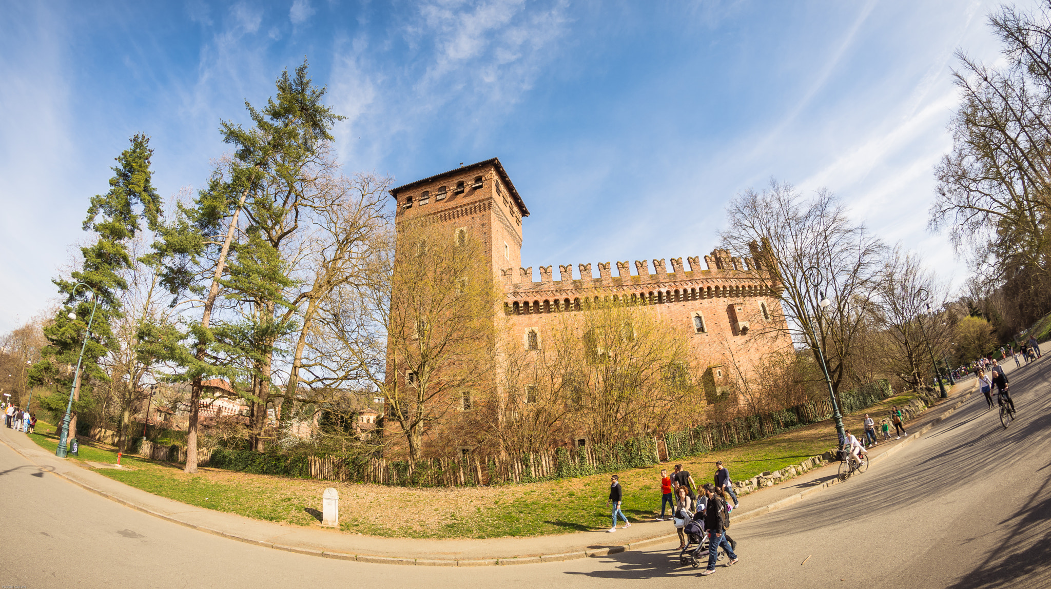 Nikon D7200 + Samyang 8mm F3.5 Aspherical IF MC Fisheye sample photo. Curve... photography