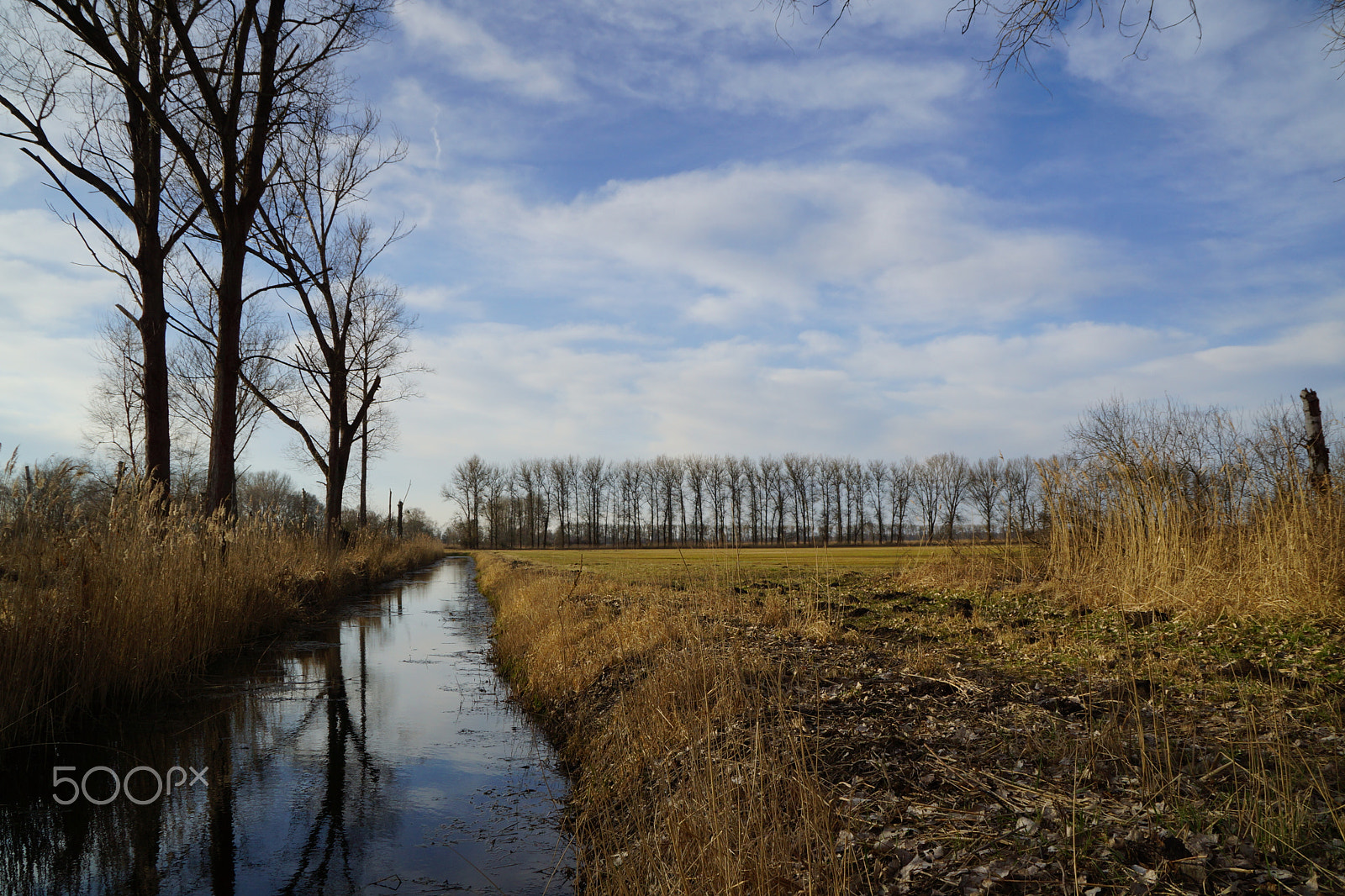 Sony DT 18-200mm F3.5-6.3 sample photo. Germany, linum viii - rhinluch iii photography