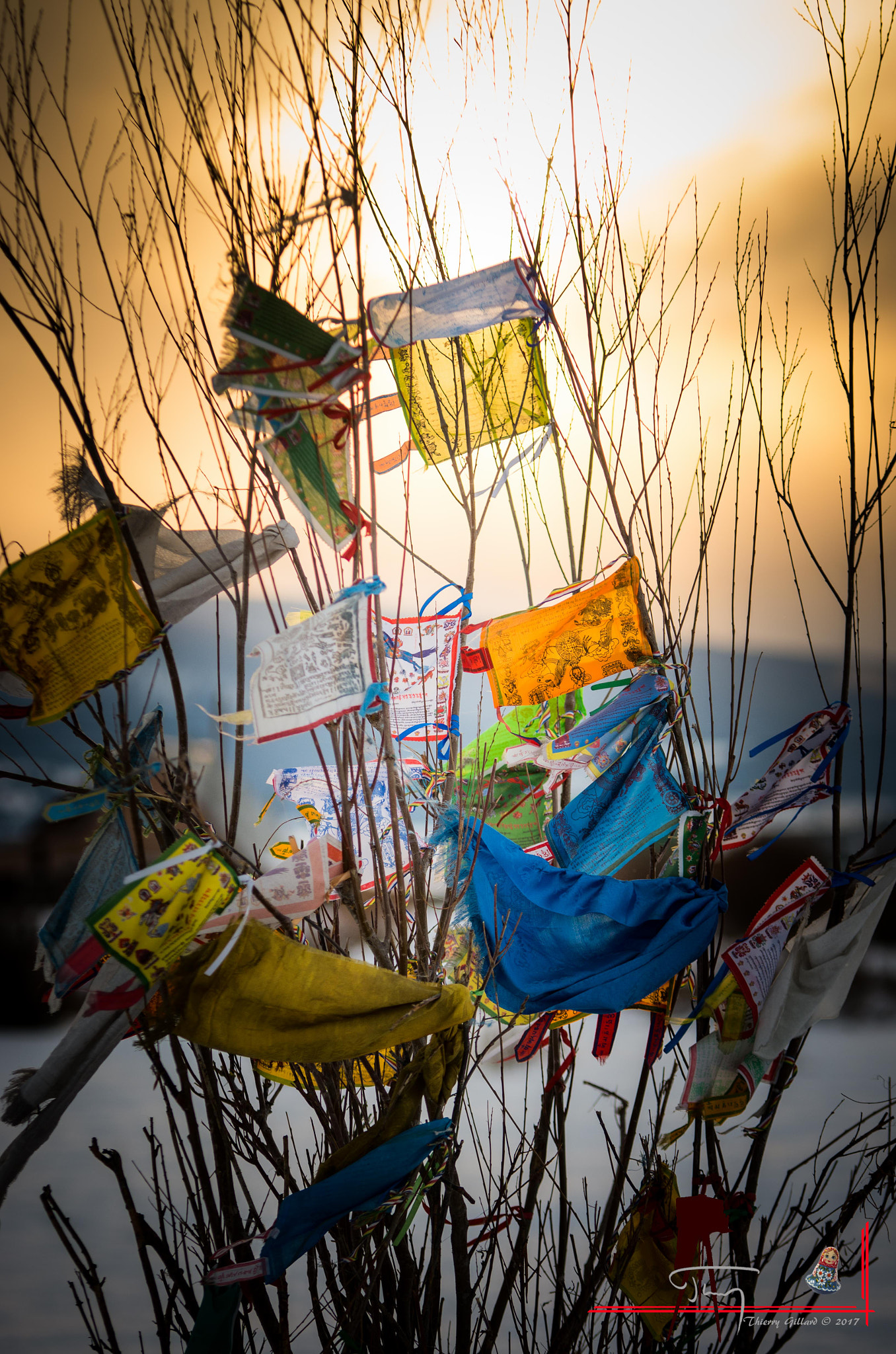 Pentax K-5 IIs sample photo. Flags photography