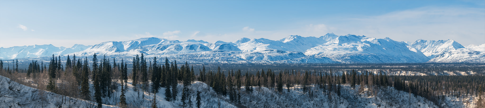 Sony a7R II + Sony FE 70-200mm F4 G OSS sample photo. Panorama view of denali national park photography