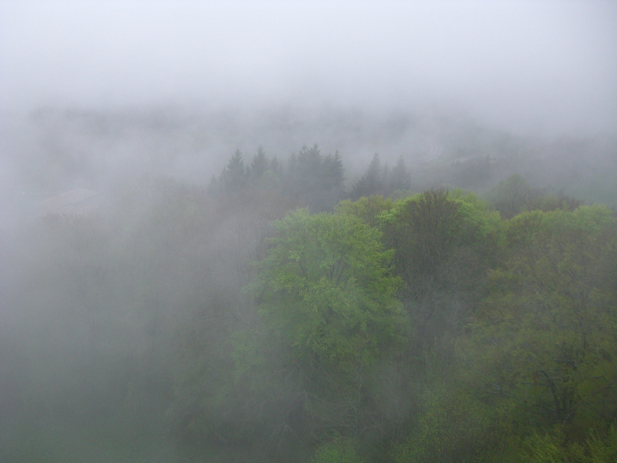 CASIO EX-Z700 sample photo. Fog photography