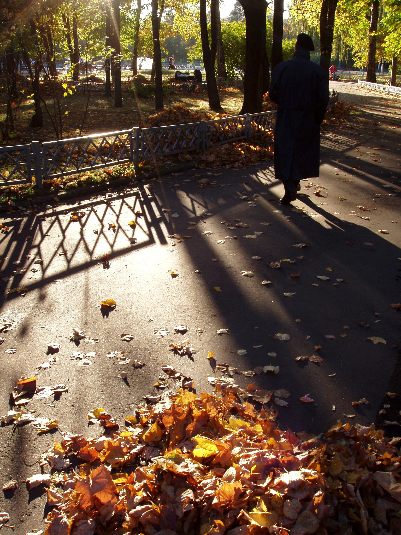 Olympus X-2,C-50Z sample photo. Autumn photography