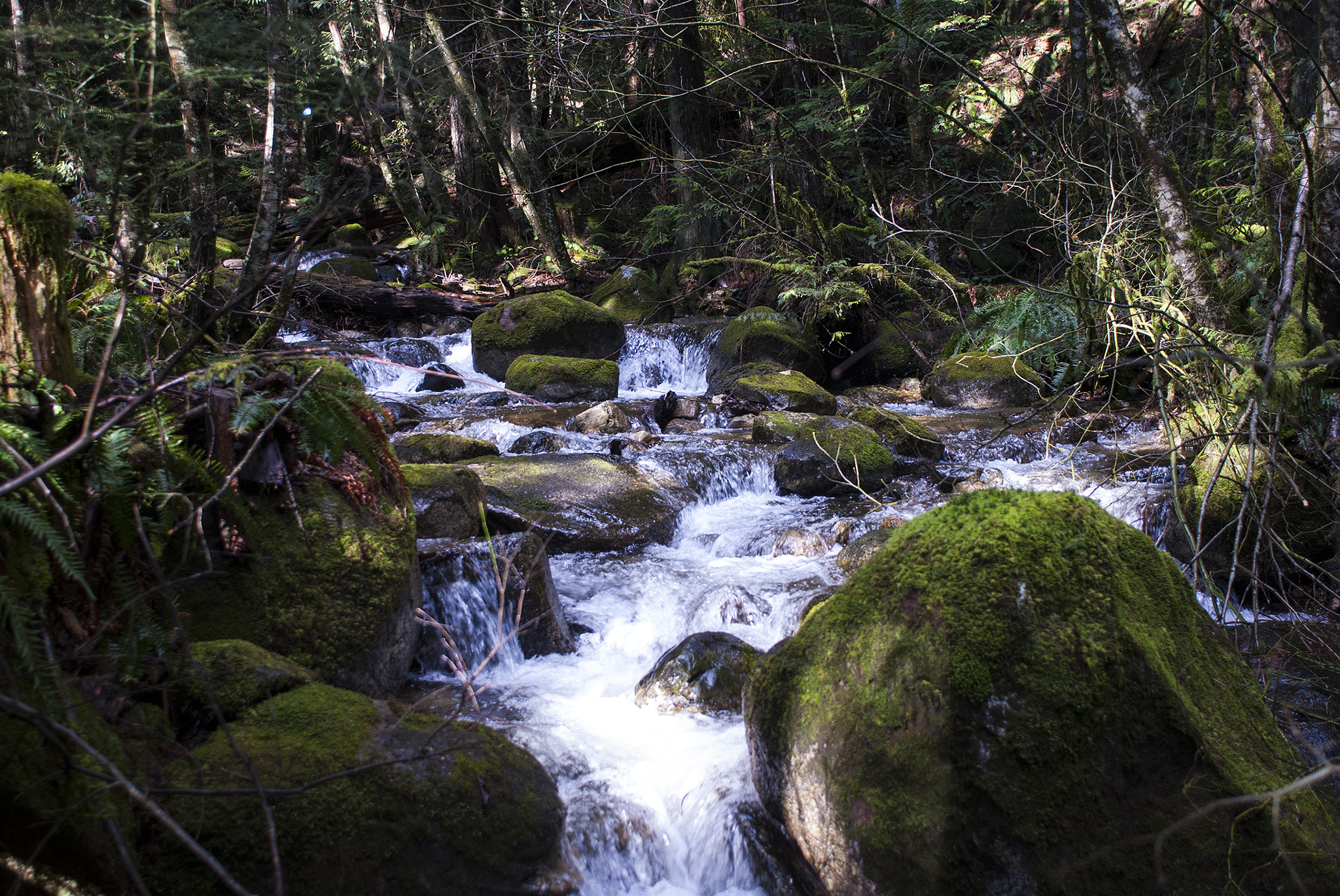 Nikon D80 + Nikon AF Nikkor 24mm F2.8D sample photo. Babbling brook photography