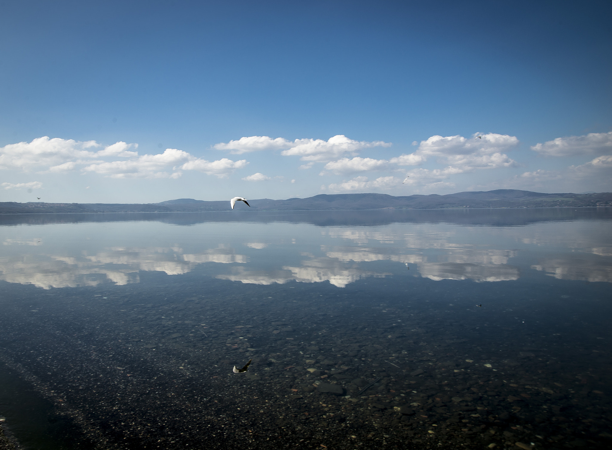 Nikon D600 sample photo. Bracciano photography