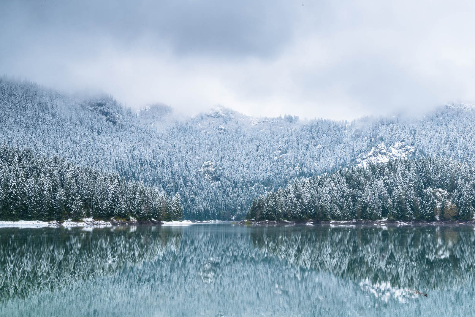Nikon D800 sample photo. Snowy black lake photography