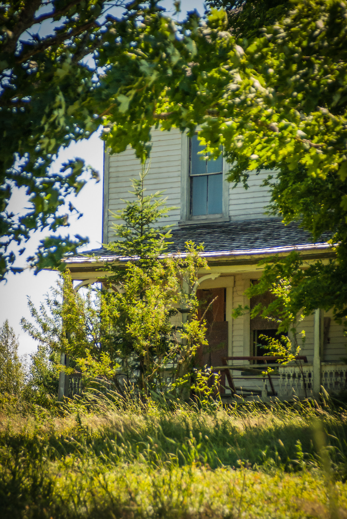 Minolta/Sony AF 24-105mm F3.5-4.5 (D) sample photo. Countrylane photography