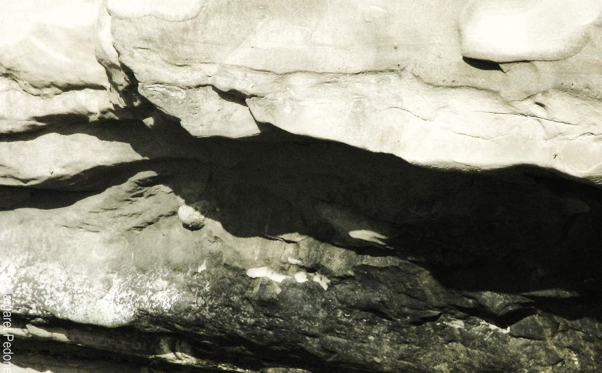 Fujifilm FinePix S5000 sample photo. Lj algae rock photography