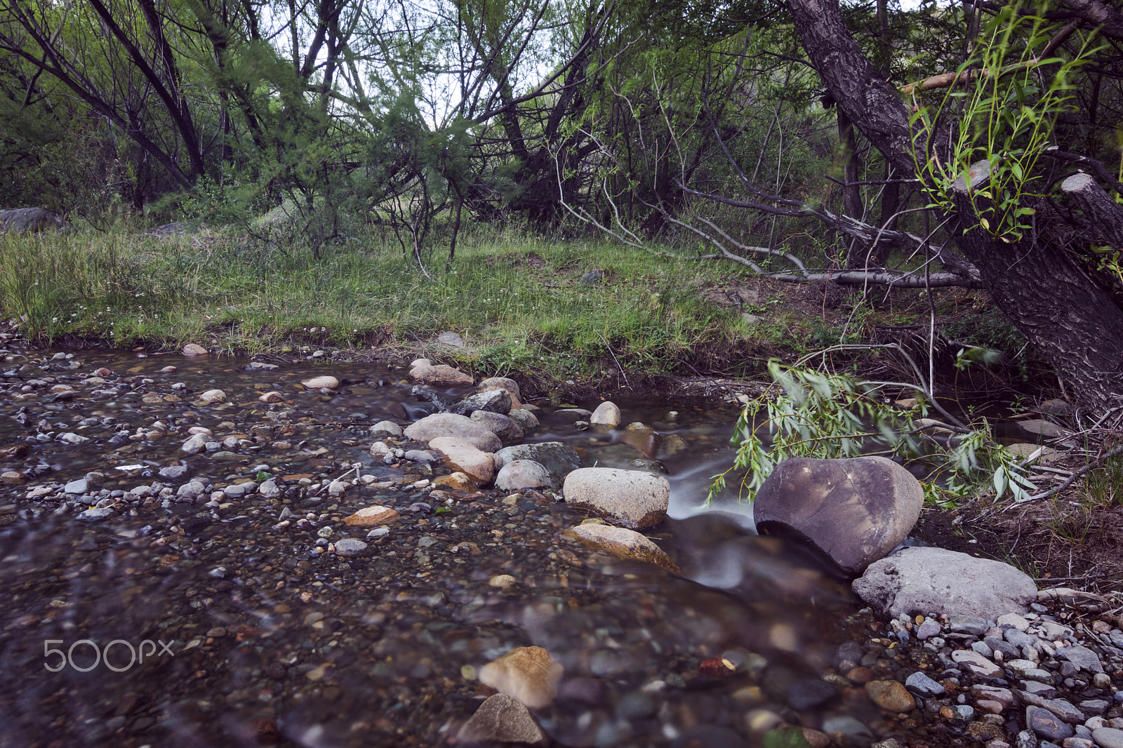 Nikon D7200 sample photo. Be like water photography