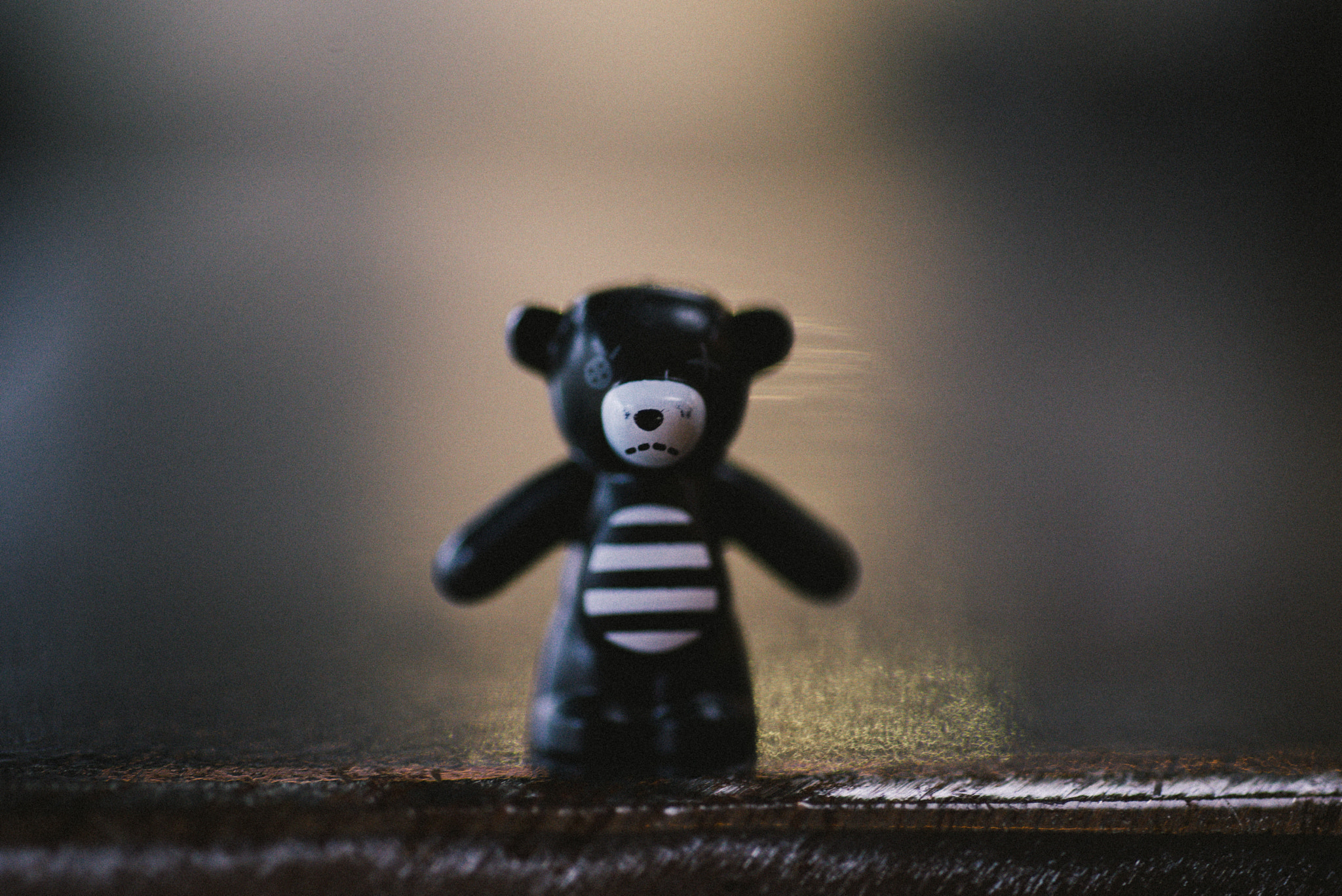 Nikon D600 + Nikon AF Micro-Nikkor 60mm F2.8D sample photo. Toys photography