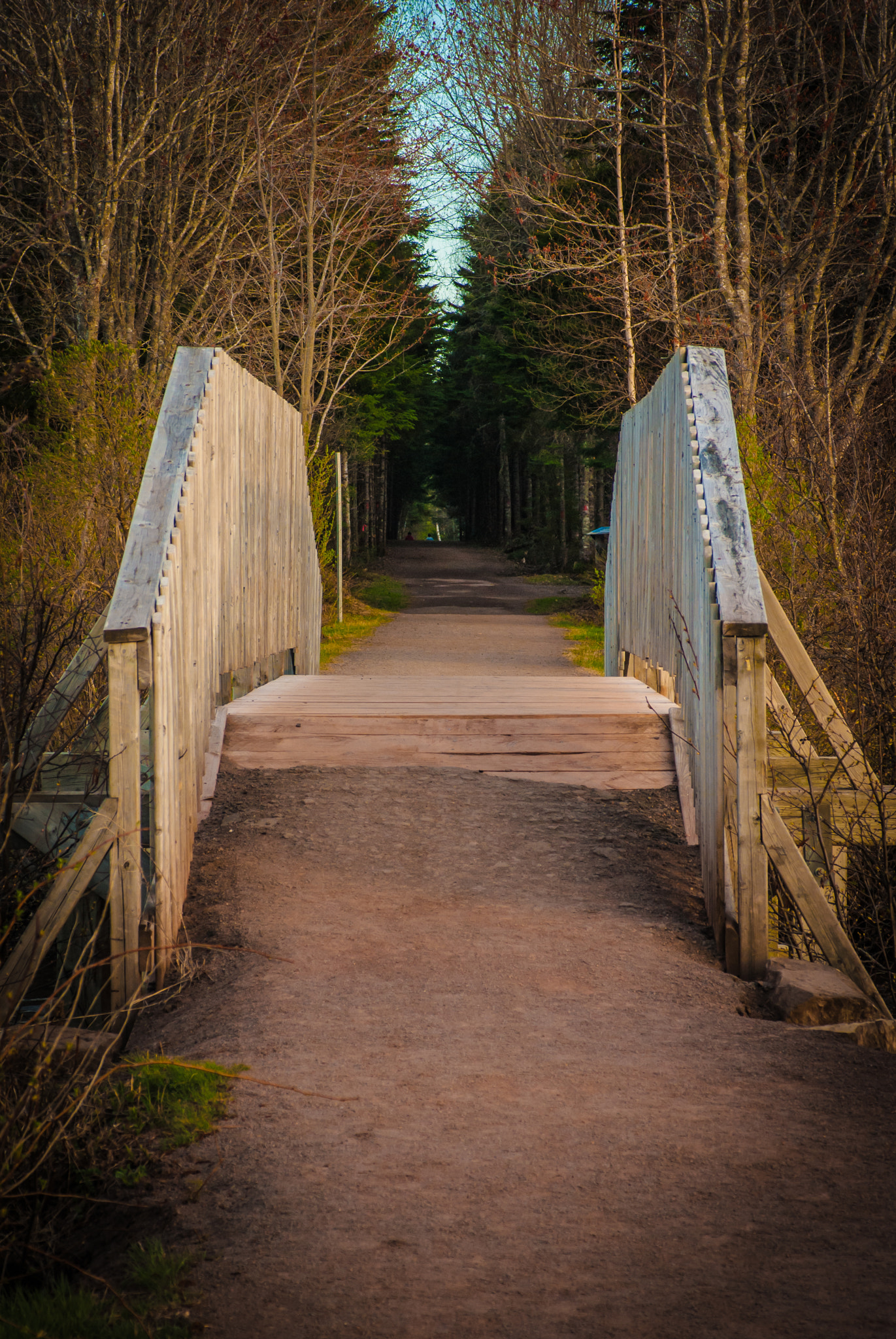 Sony Alpha DSLR-A330 sample photo. Bridge to nowhere photography