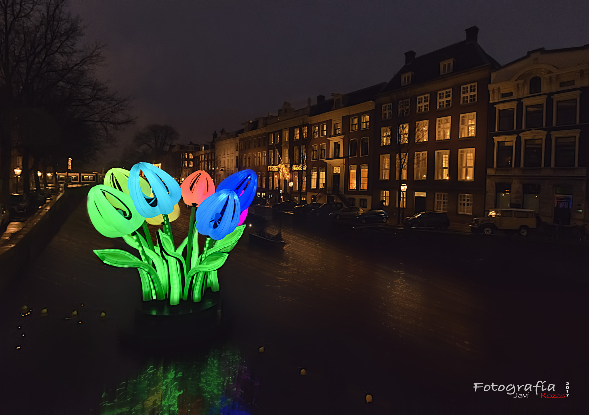 Nikon D800 sample photo. Tulipanes night photography