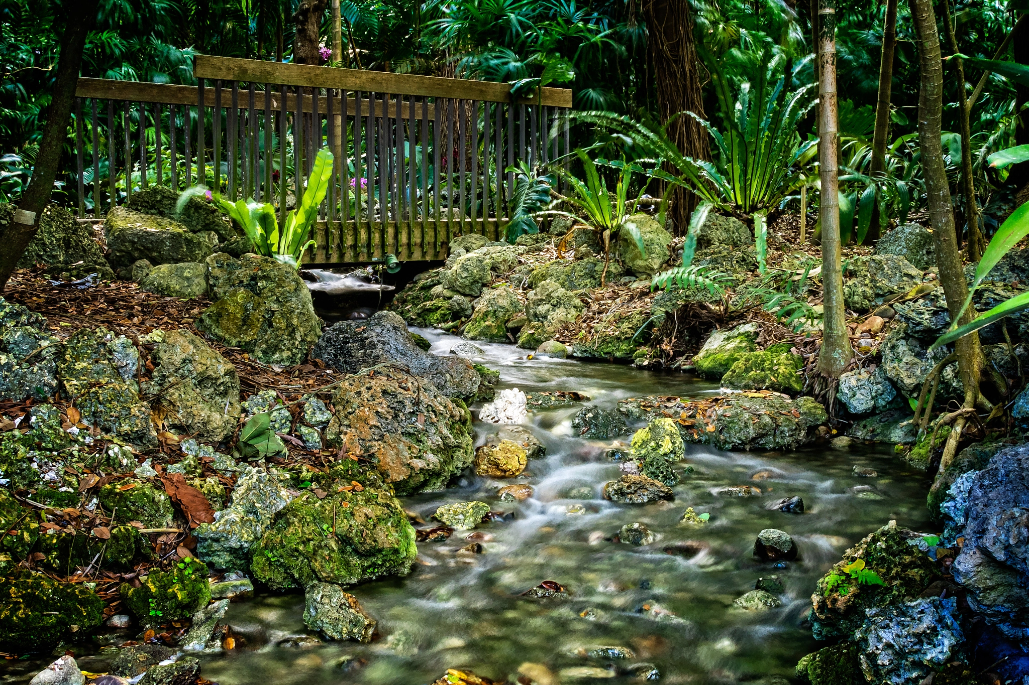 Olympus OM-D E-M1 sample photo. Fairchild tropical botanic garden photography