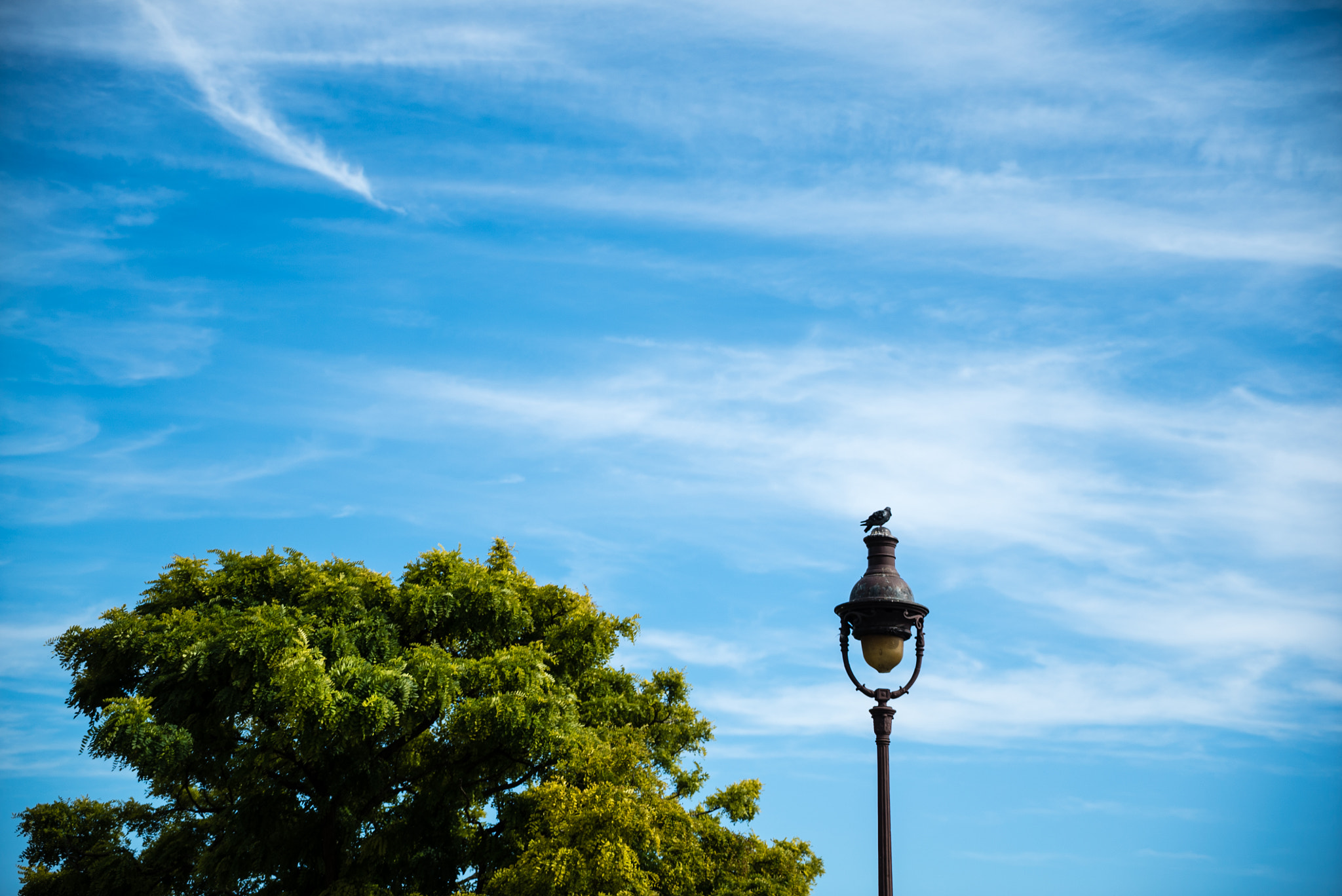 Sony a7S II sample photo. Parisian skies photography