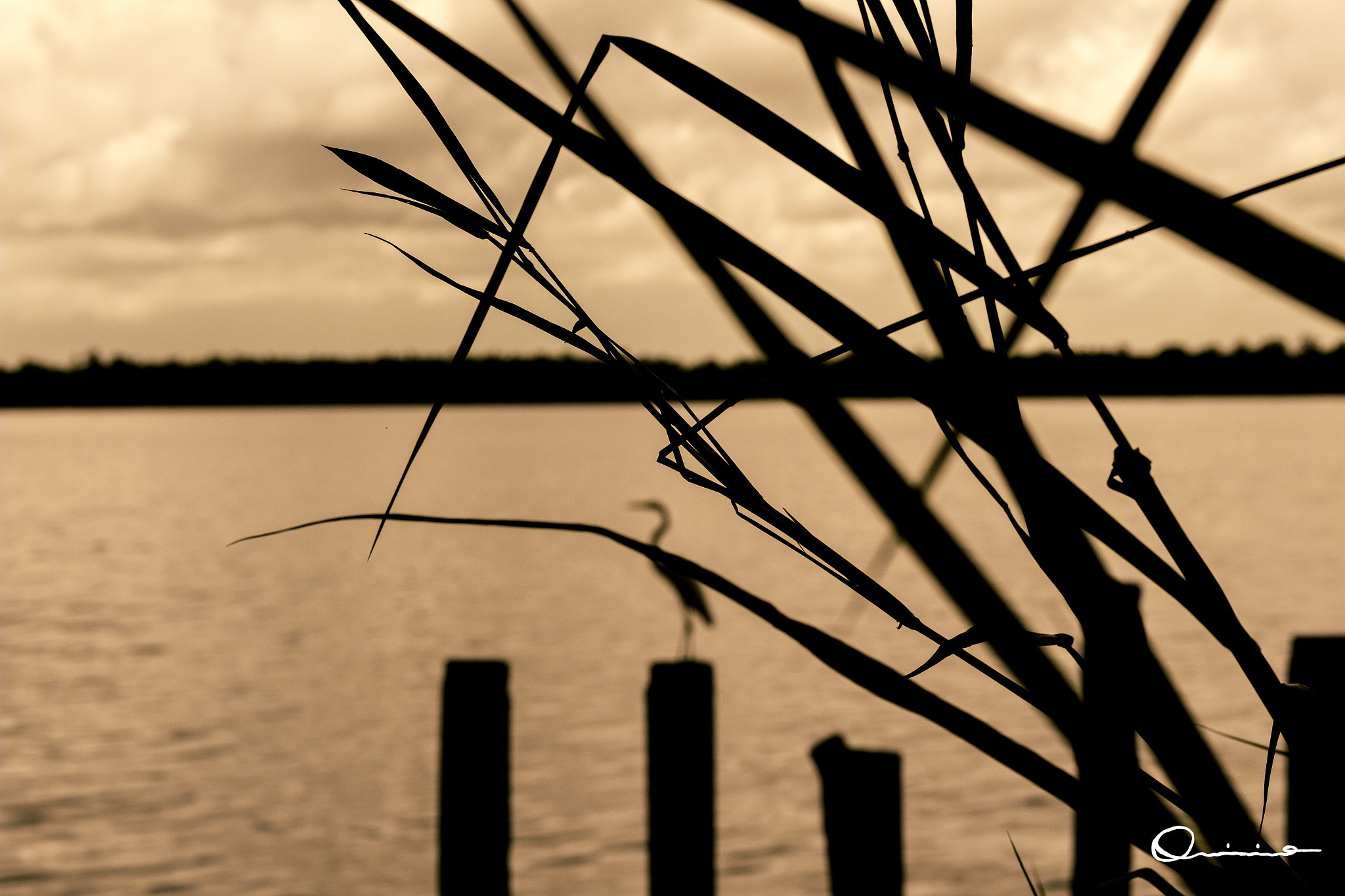 Canon EOS 100D (EOS Rebel SL1 / EOS Kiss X7) sample photo. Sunset shadow photography