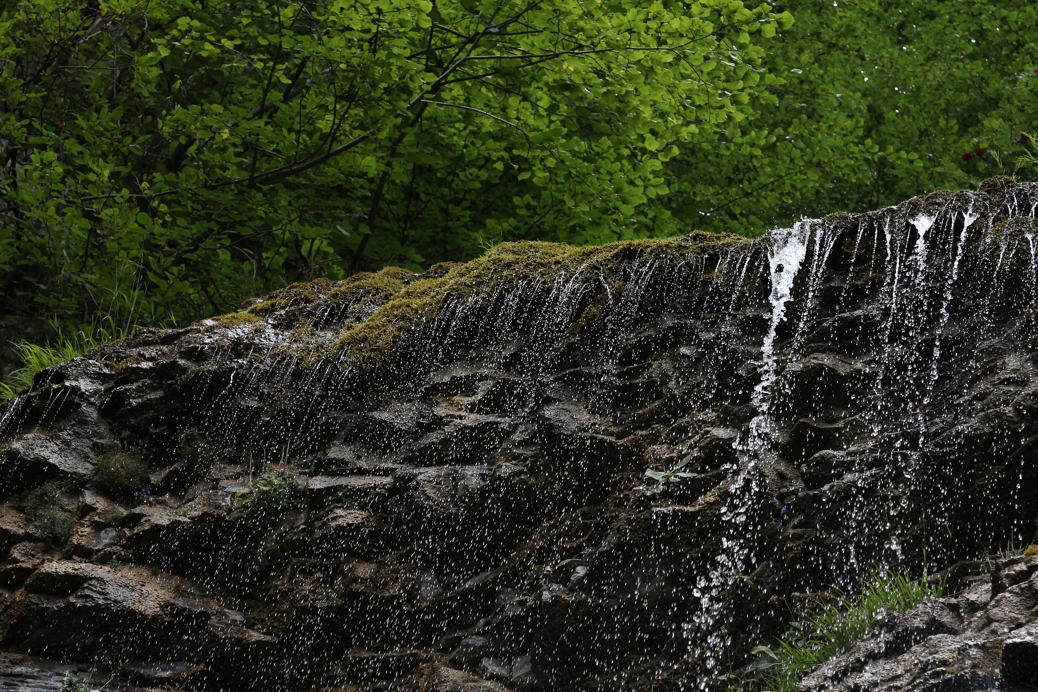 Canon EF 70-200mm F2.8L IS II USM sample photo. Drip drop photography