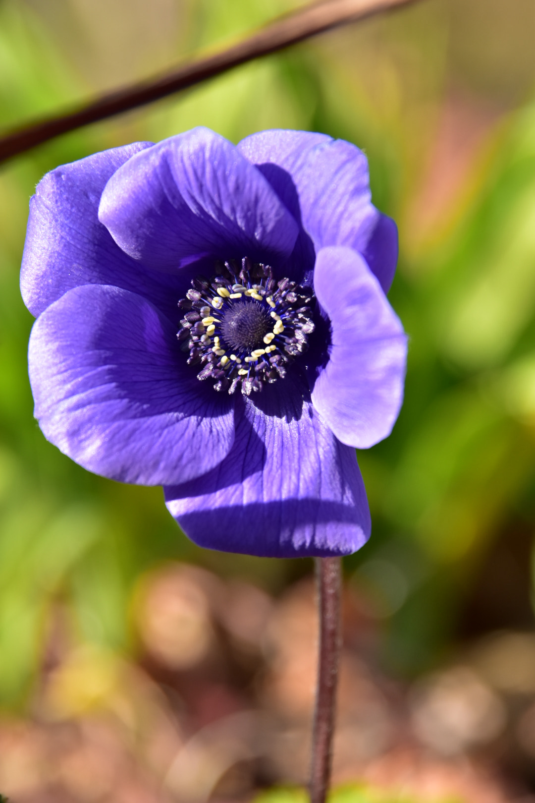Nikon D5500 sample photo