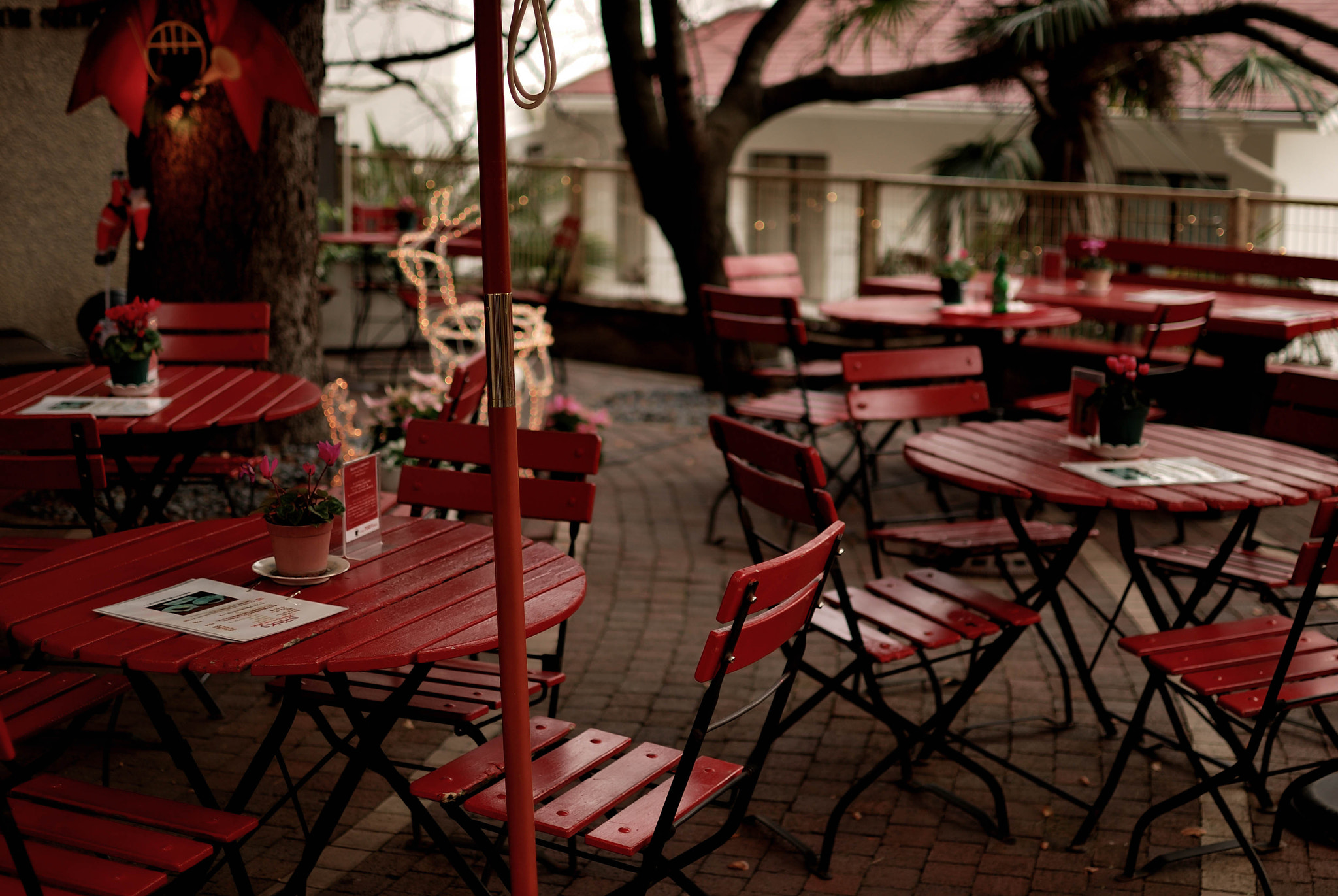 Nikon D80 sample photo. Chic restaurant photography