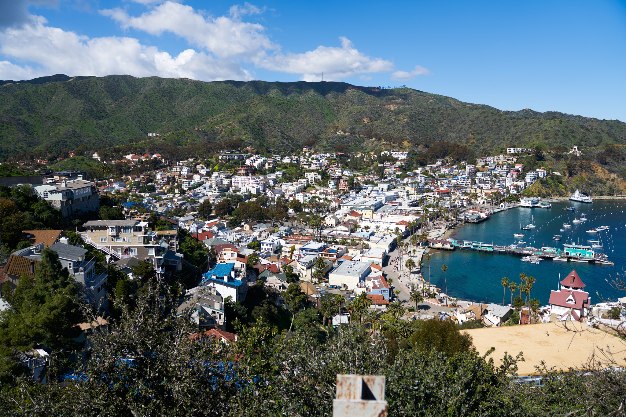 Sony a7R II + Sony FE 24-70mm F2.8 GM sample photo. Catalina island photography